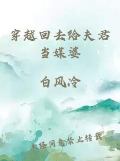 穿越回去給夫君當(dāng)媒婆